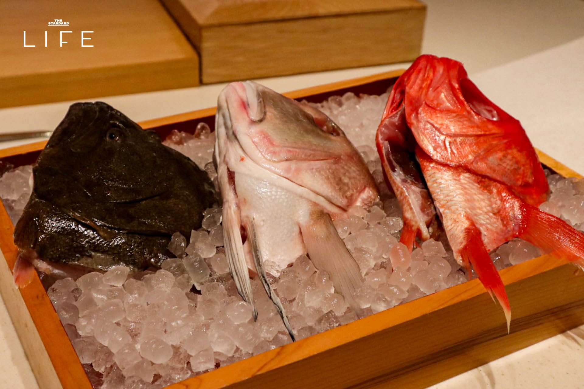 ภาพอาหารโอมากาเสะจากร้าน Fillets ที่ One Bangkok พร้อมนำเสนอเทคนิคการปรุงสไตล์ Kappo โดยเชฟแรนดี้ 4