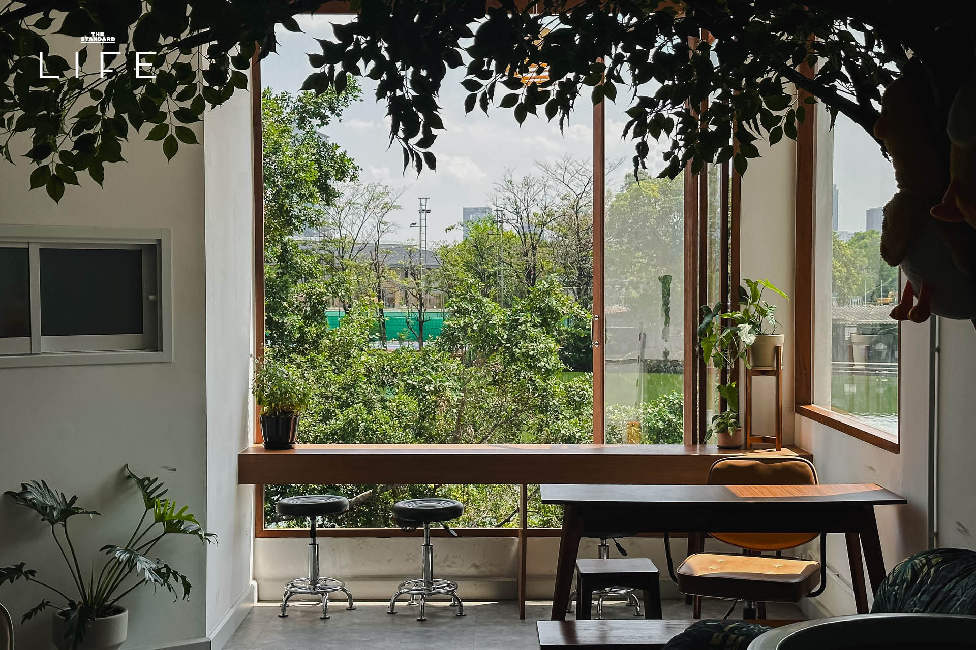 บรรยากาศภายในคาเฟ่ Friends and Duck ย่านสนามเป้า ที่มีดีไซน์โฮมมี่ โปร่งโล่ง พร้อมมุมทำงานใกล้ BTS 3