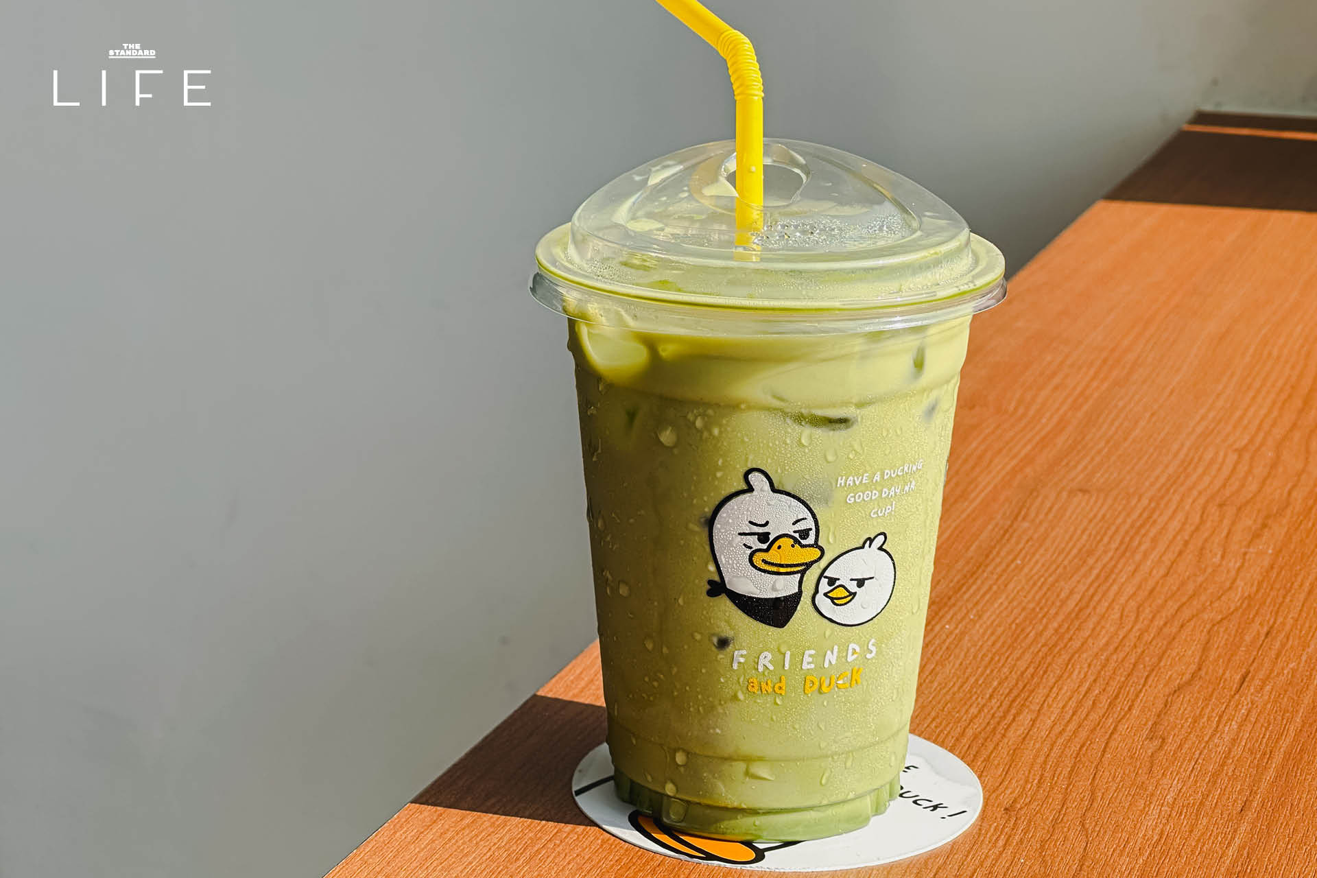 บรรยากาศภายในคาเฟ่ Friends and Duck ย่านสนามเป้า ที่มีดีไซน์โฮมมี่ โปร่งโล่ง พร้อมมุมทำงานใกล้ BTS 6