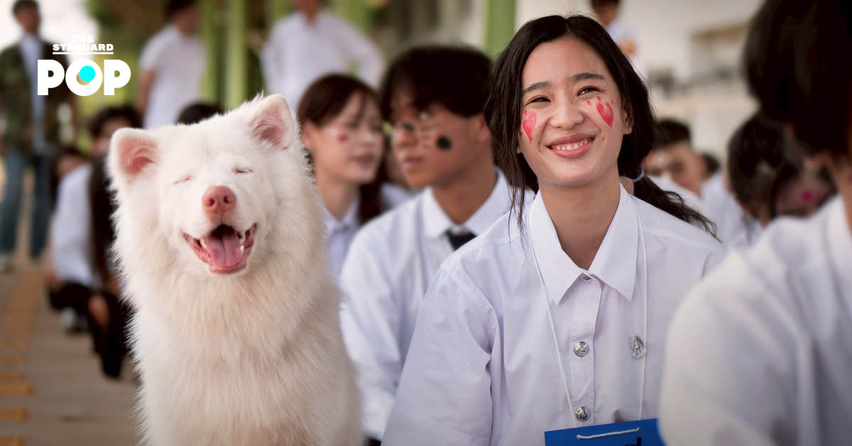 โปสเตอร์ภาพยนตร์ โกฮัง..หัวใจโกโฮม แสดงถึงเรื่องราวของเจ้าหมาจรตัวขาวกับ 3 เจ้าของใน 3 ช่วงวัย