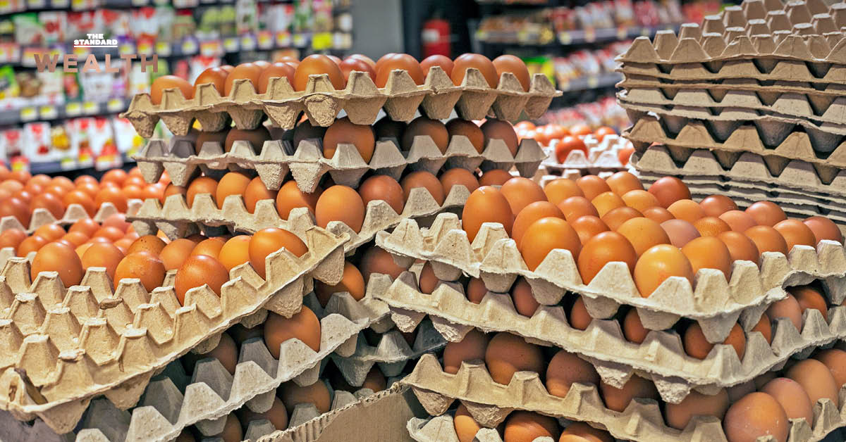 ไข่ไก่สดในแผงกระดาษ