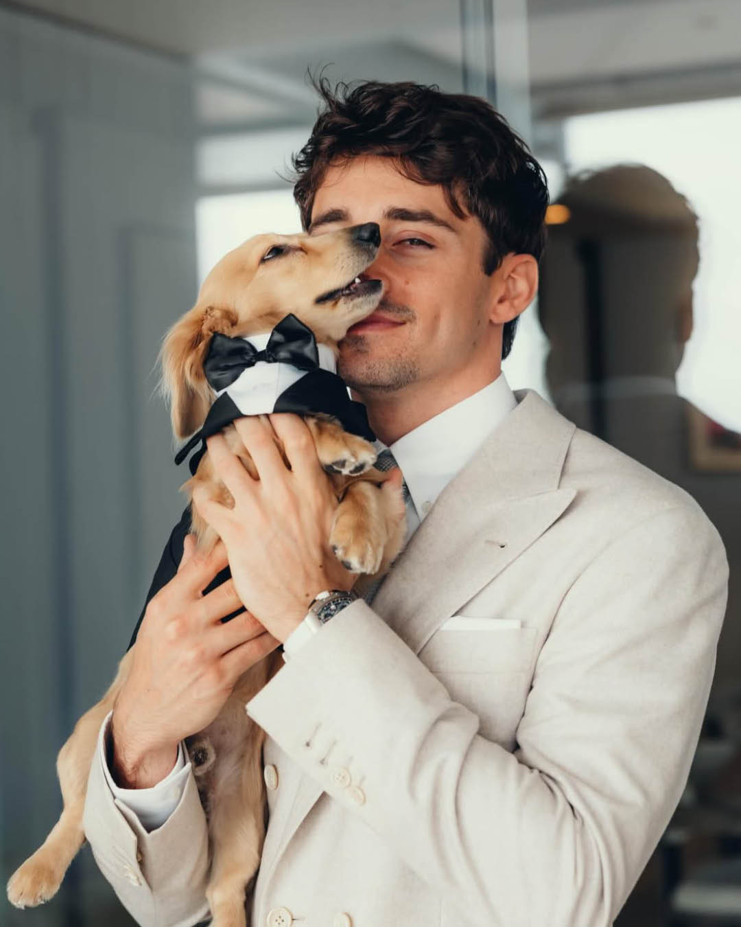 ชาร์ล เลอแคลร์ และ อเล็กซานดรา แซงต์ มลูซ์ ในชุดแต่งงาน พร้อมสุนัข 'ลีโอ' ในชุดทักซิโด้ 4