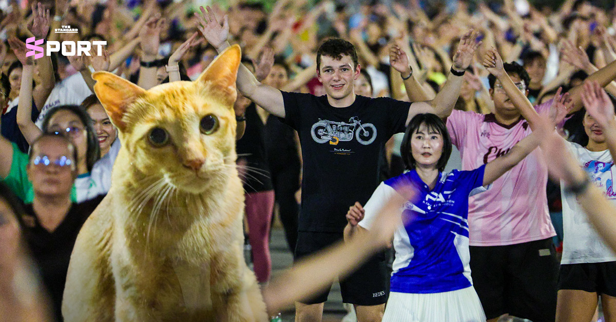 ภาพผู้คนกำลังเต้นแอโรบิกกลางแจ้งที่สวนลุมพินี โดยมีแมวมองดูเป็นกิมมิก