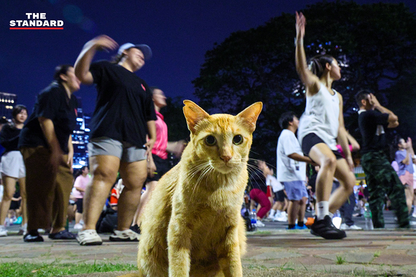 ภาพมุมกว้างของผู้คนจำนวนมากกำลังเต้นแอโรบิกอย่างสนุกสนานที่สวนลุมพินี 2