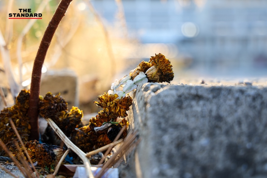 ภาพซากปรักหักพังและพื้นที่ว่างเปล่าของ 'ตึกสำนักงานการตรวจเงินแผ่นดิน (สตง.) แห่งใหม่' หลังเหตุการณ์ถล่มครบรอบ 1 ปี 23