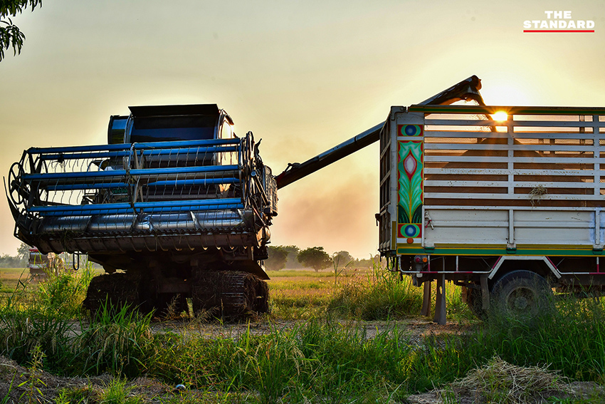 ภาพชาวนาในจังหวัดพิษณุโลกที่ได้รับผลกระทบจากสถานการณ์น้ำมันขาดแคลนและราคาแพง 5
