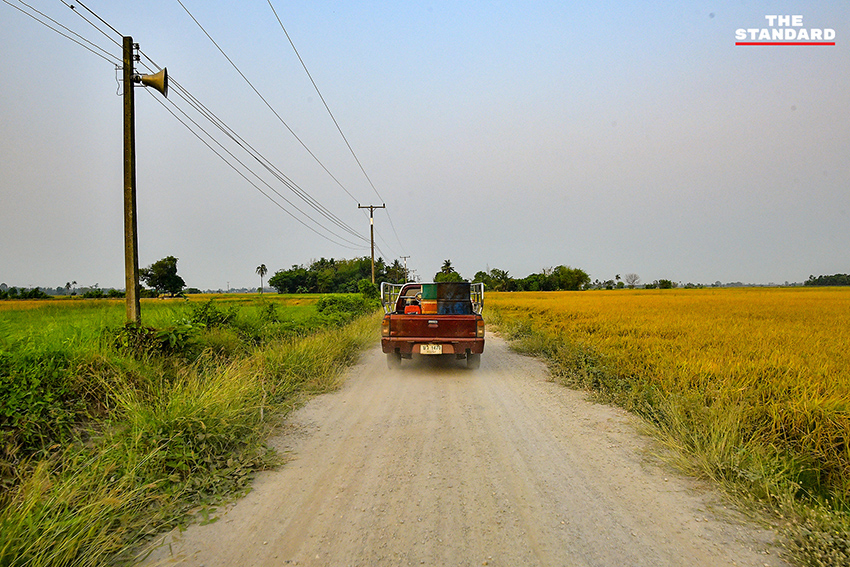 ภาพชาวนาในจังหวัดพิษณุโลกที่ได้รับผลกระทบจากสถานการณ์น้ำมันขาดแคลนและราคาแพง 7