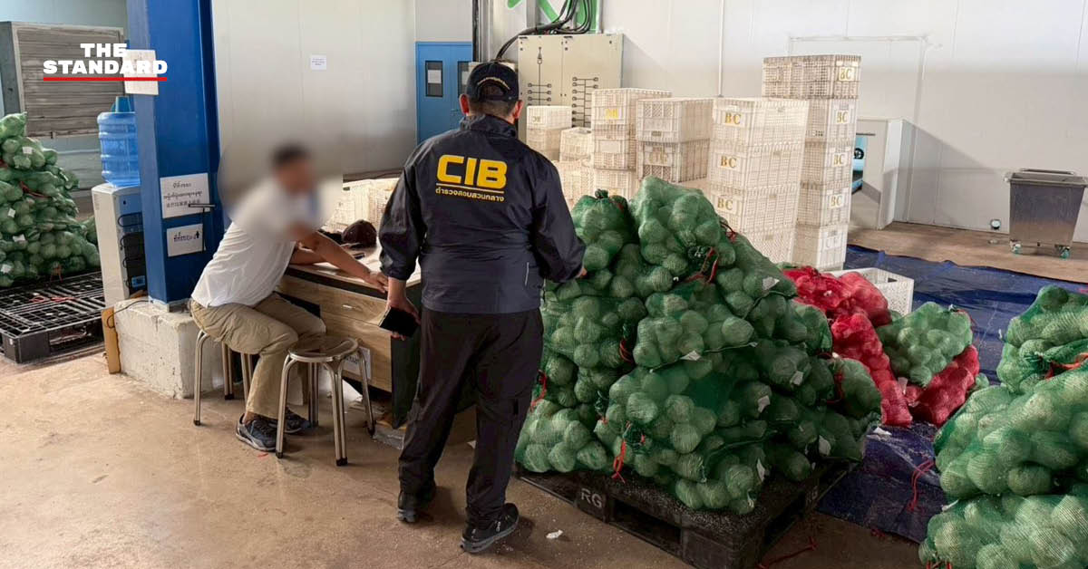 เจ้าหน้าที่ตำรวจสอบสวนกลางเข้าตรวจค้นล้งมะพร้าวที่เข้าข่ายเป็นนอมินีข้ามชาติในจังหวัดราชบุรี