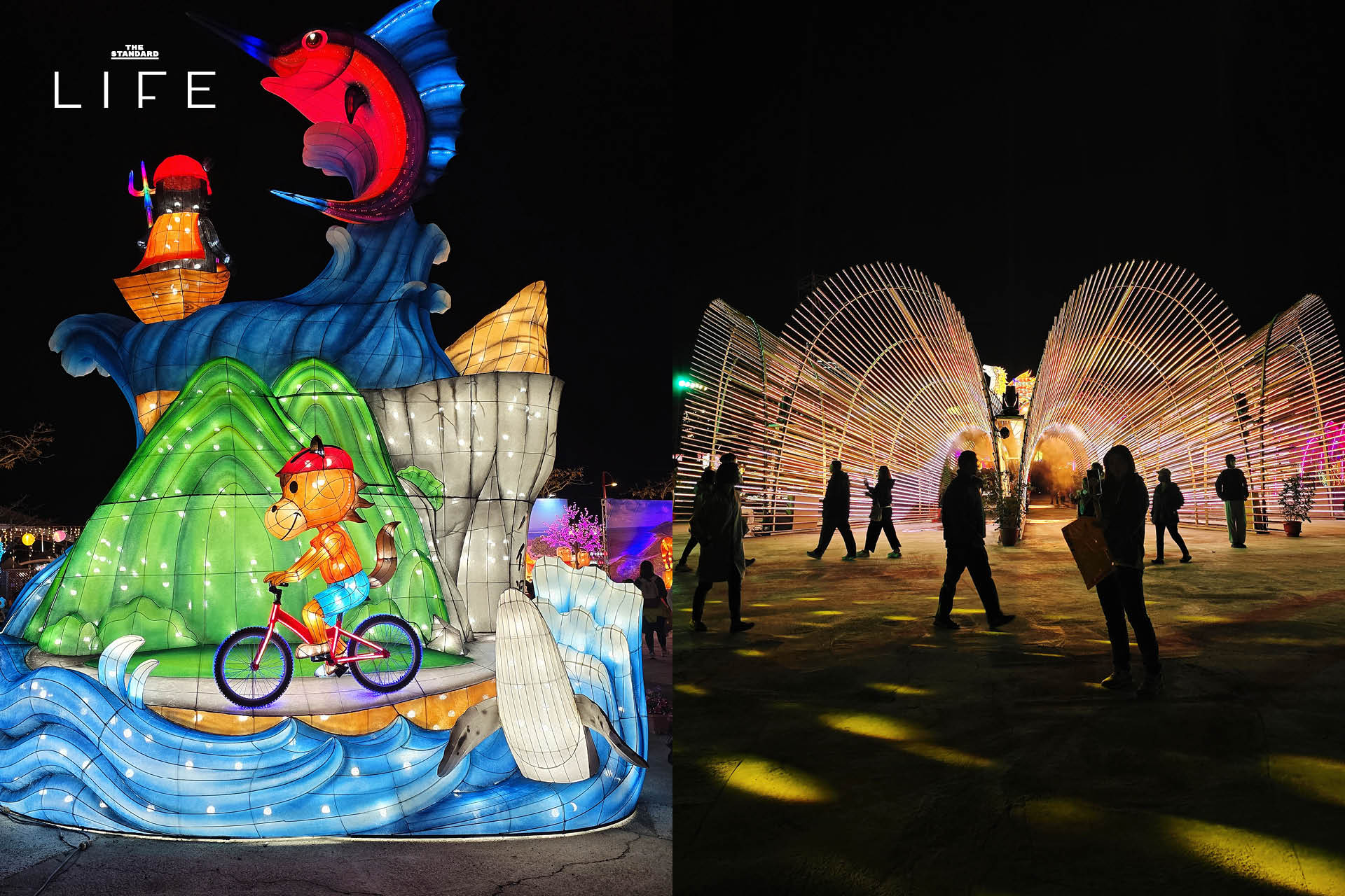 โคมไฟหลากสีสันส่องสว่างงดงามในงาน Taiwan Lantern Festival 2026 ที่เมืองเจียอี้ ประเทศไต้หวัน 10