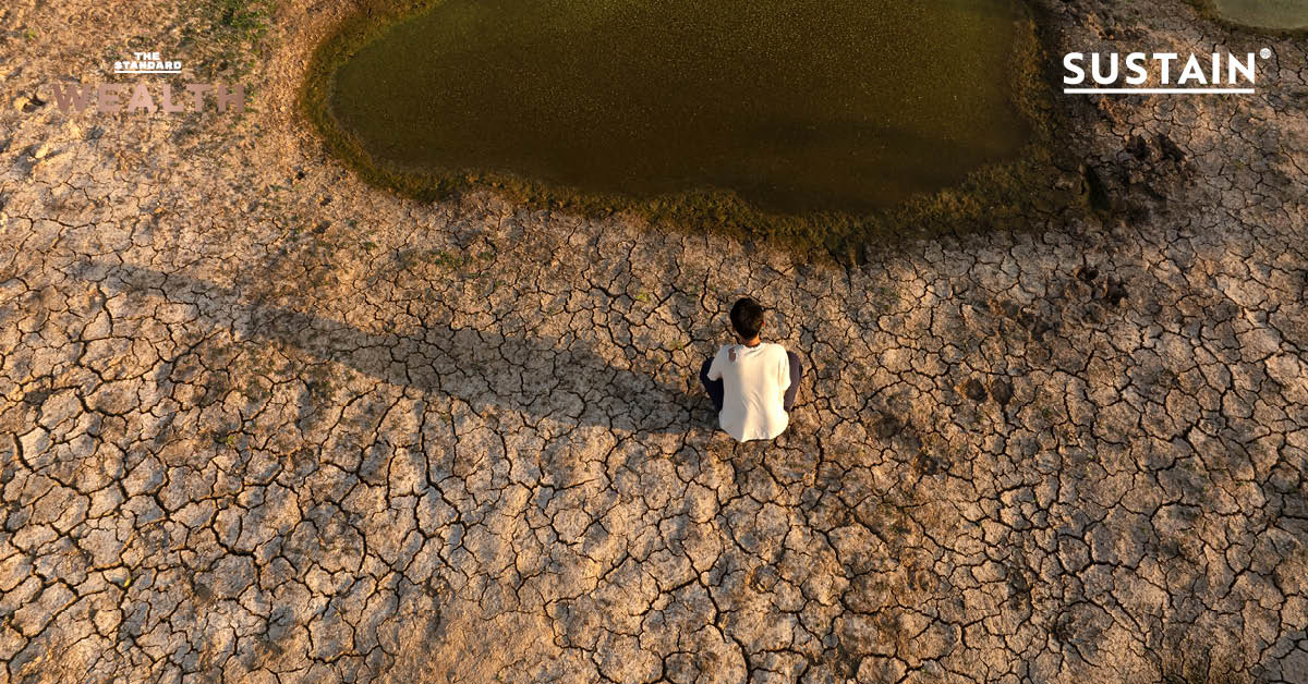 ภาพประกอบแสดงถึงผลกระทบจากวิกฤตสภาพภูมิอากาศและการขาดแคลนน้ำ เช่น พื้นดินแห้งแตกระแหงหรือน้ำท่วม