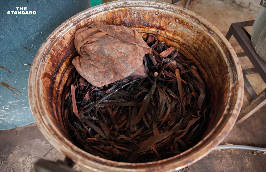 คณะนักศึกษา ปนป.15 กลุ่มเหยี่ยว พัฒนาผ้ามัดย้อมยี่สารจากภูมิปัญญาท้องถิ่นน้ำกะเตา 1