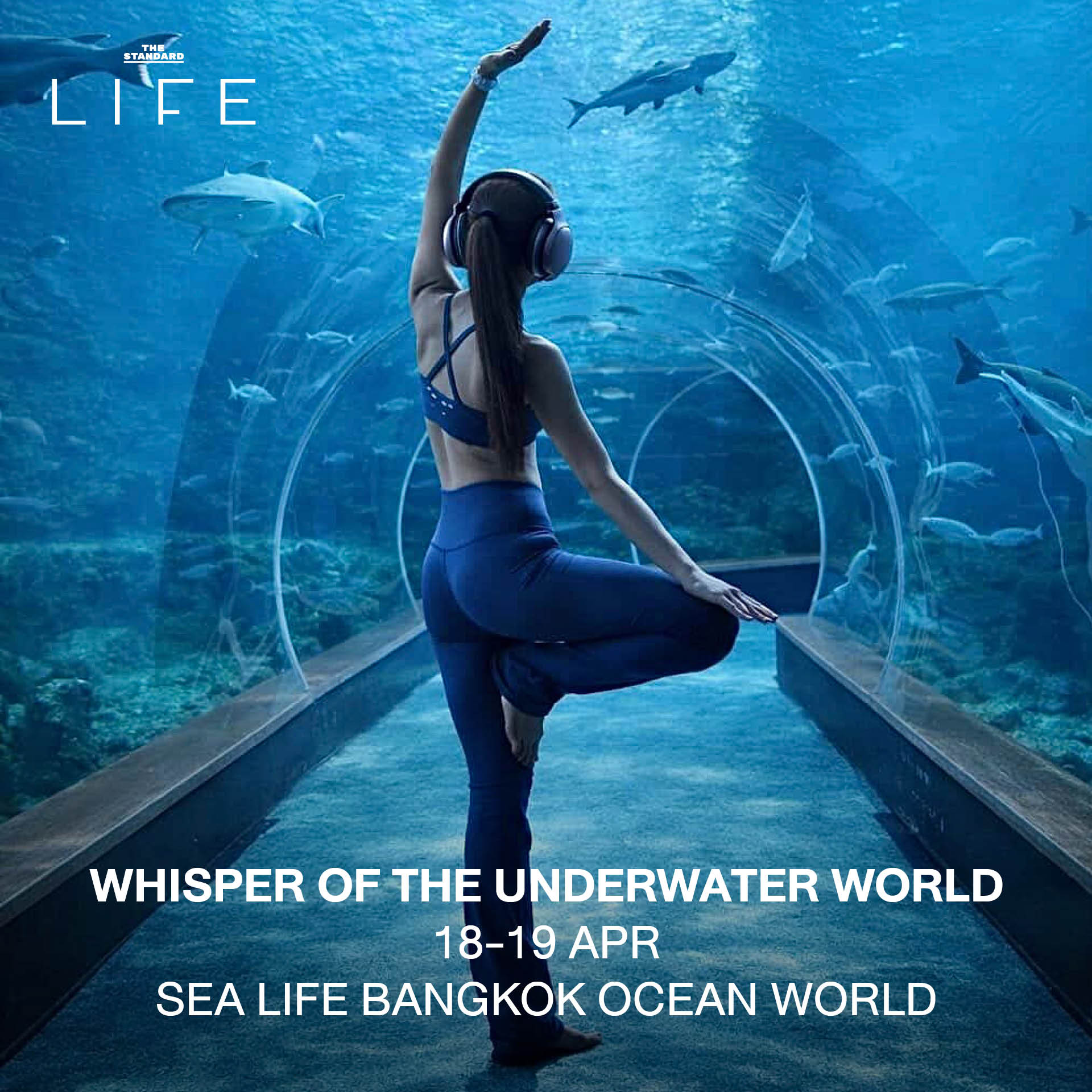 Whisper of The Underwater World