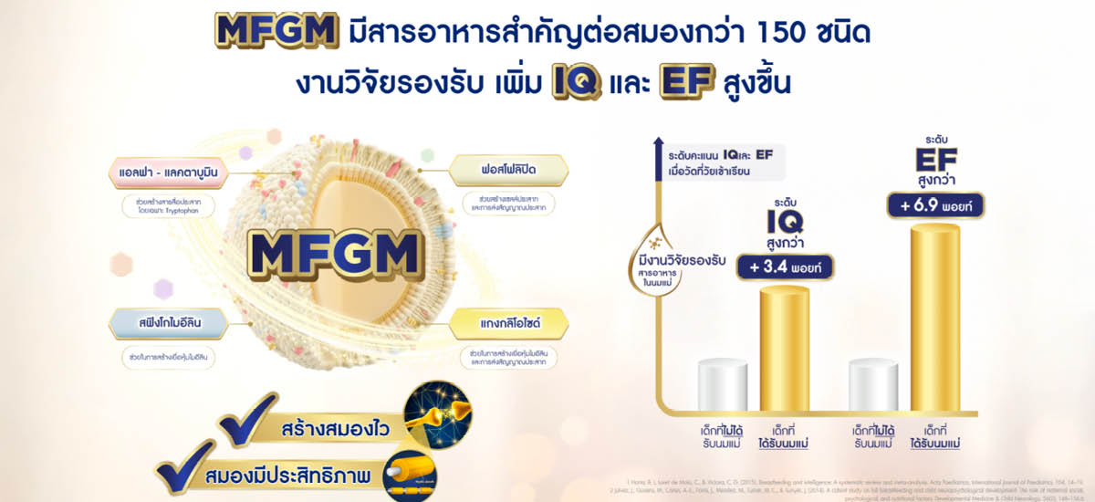 ภาพประกอบ แสดงทักษะ EF และการพัฒนาสมองเด็ก เพื่อความสำเร็จในอนาคต 4