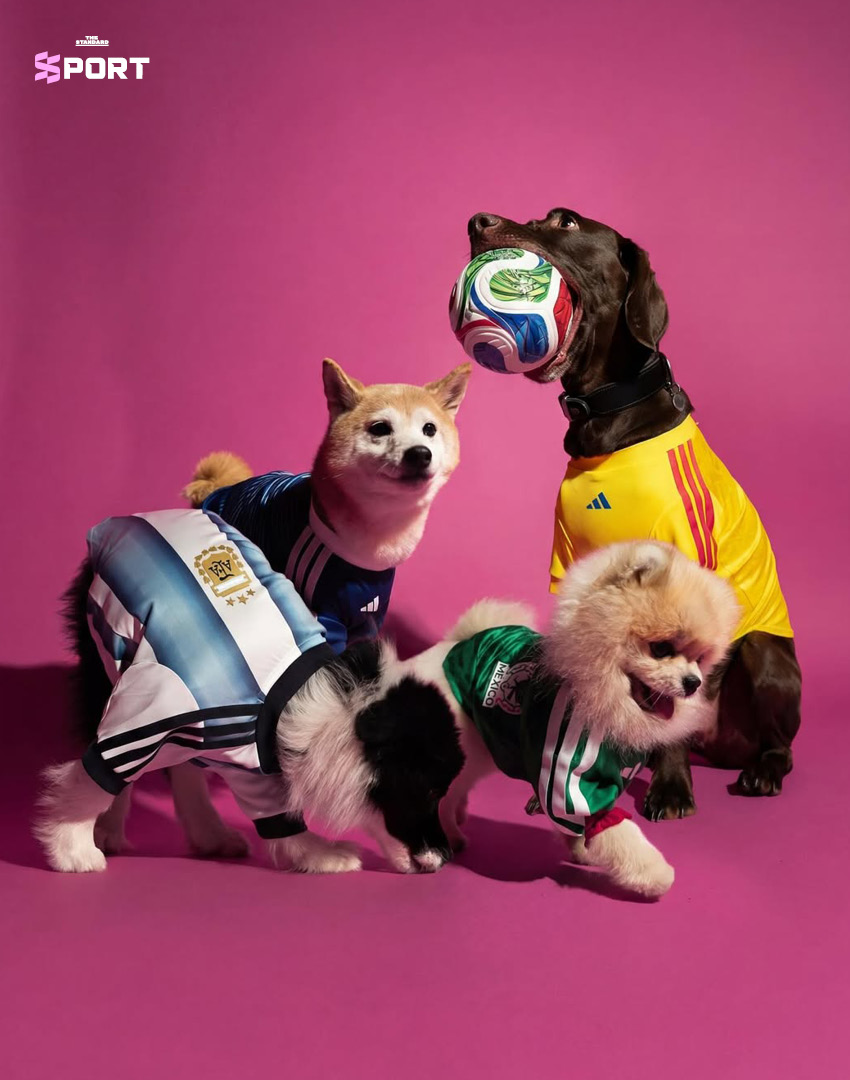 ภาพสัตว์เลี้ยงสวมใส่เสื้อฟุตบอลโลก 2026 คอลเลกชันใหม่ของ adidas 1