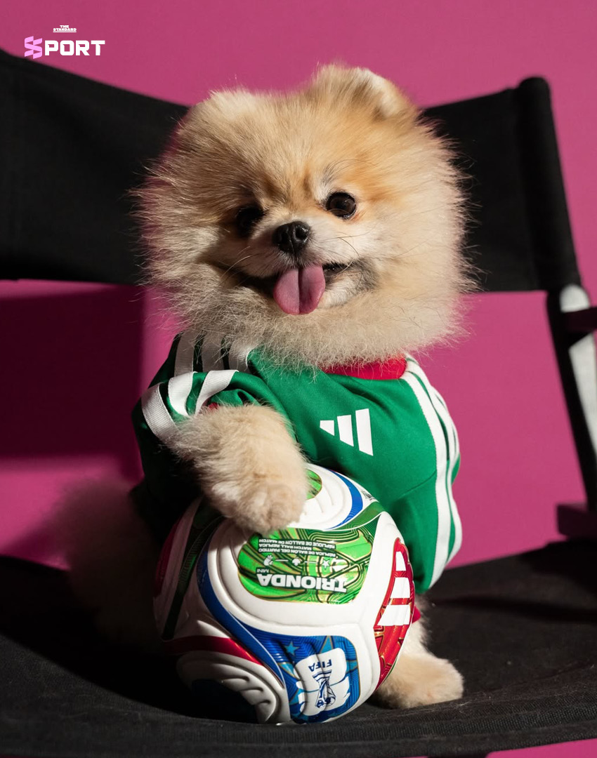 ภาพสัตว์เลี้ยงสวมใส่เสื้อฟุตบอลโลก 2026 คอลเลกชันใหม่ของ adidas 2