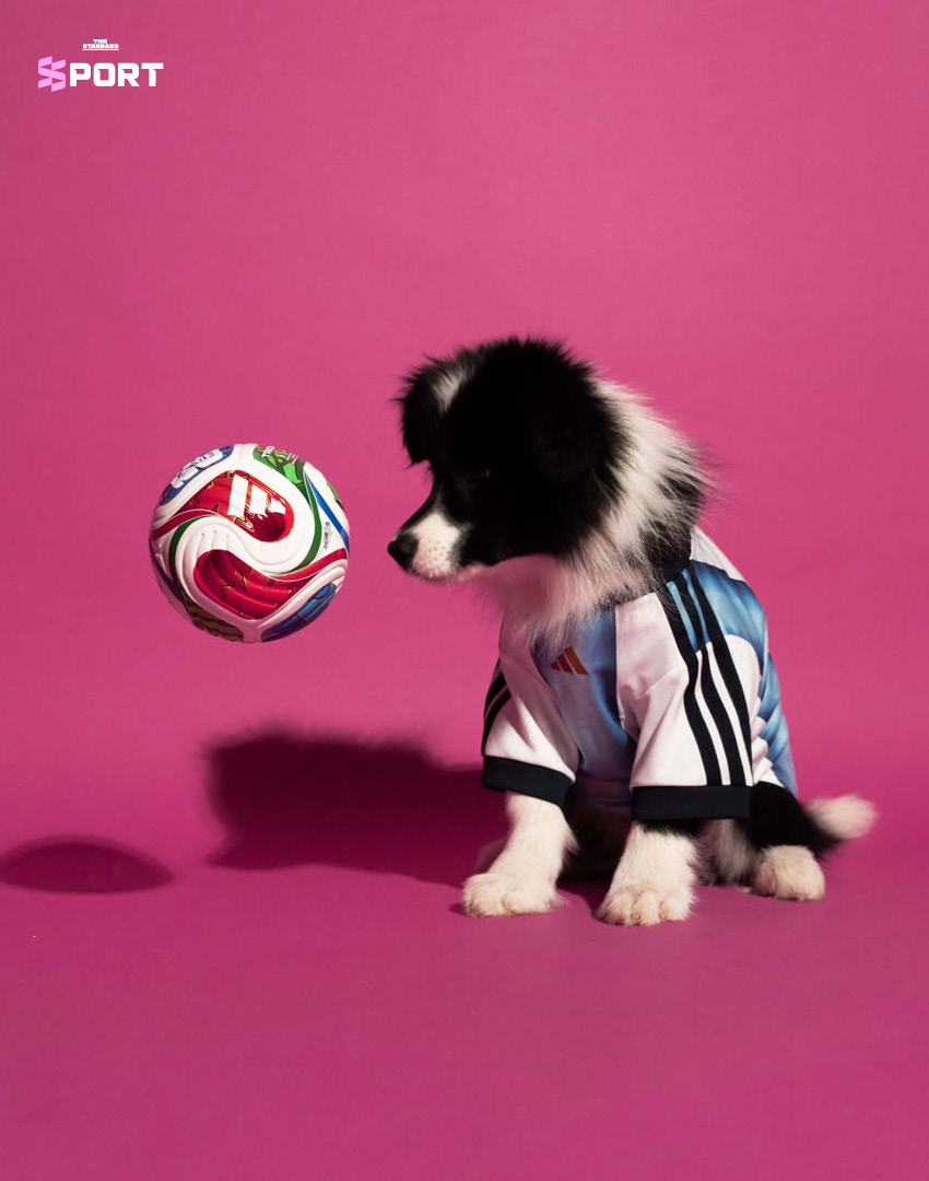 ภาพสัตว์เลี้ยงสวมใส่เสื้อฟุตบอลโลก 2026 คอลเลกชันใหม่ของ adidas 3