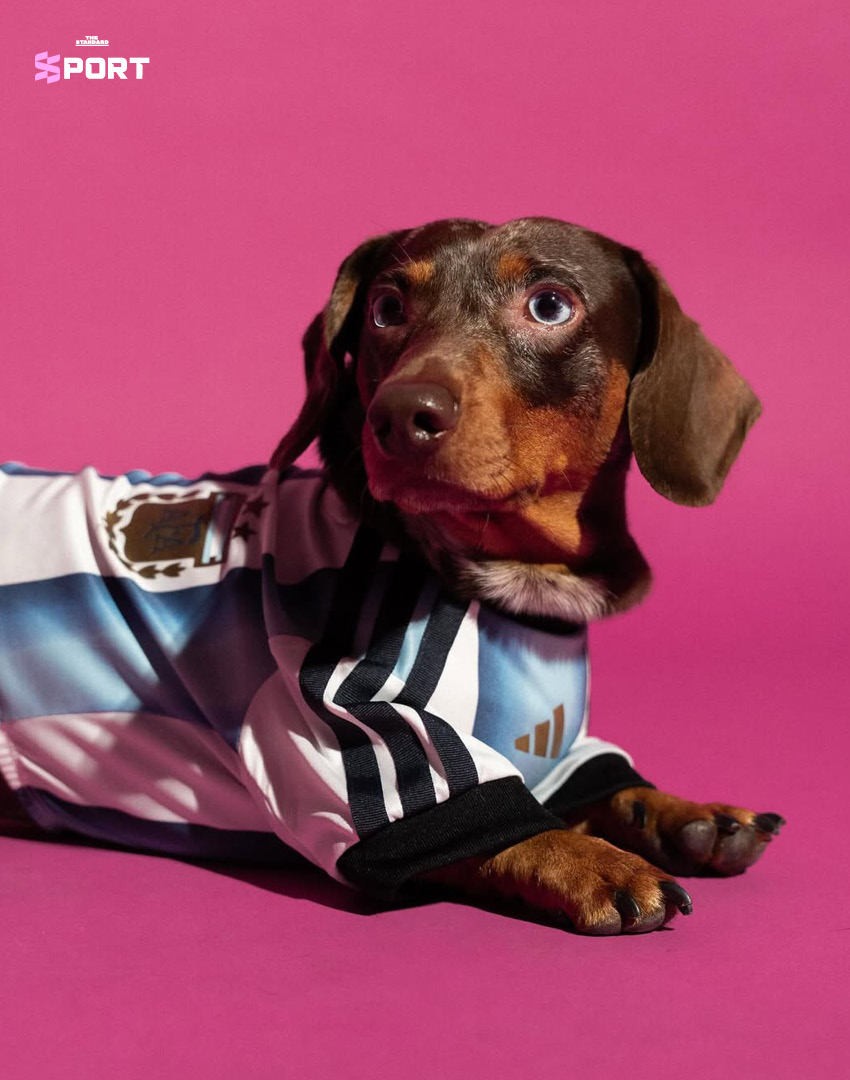 ภาพสัตว์เลี้ยงสวมใส่เสื้อฟุตบอลโลก 2026 คอลเลกชันใหม่ของ adidas 5