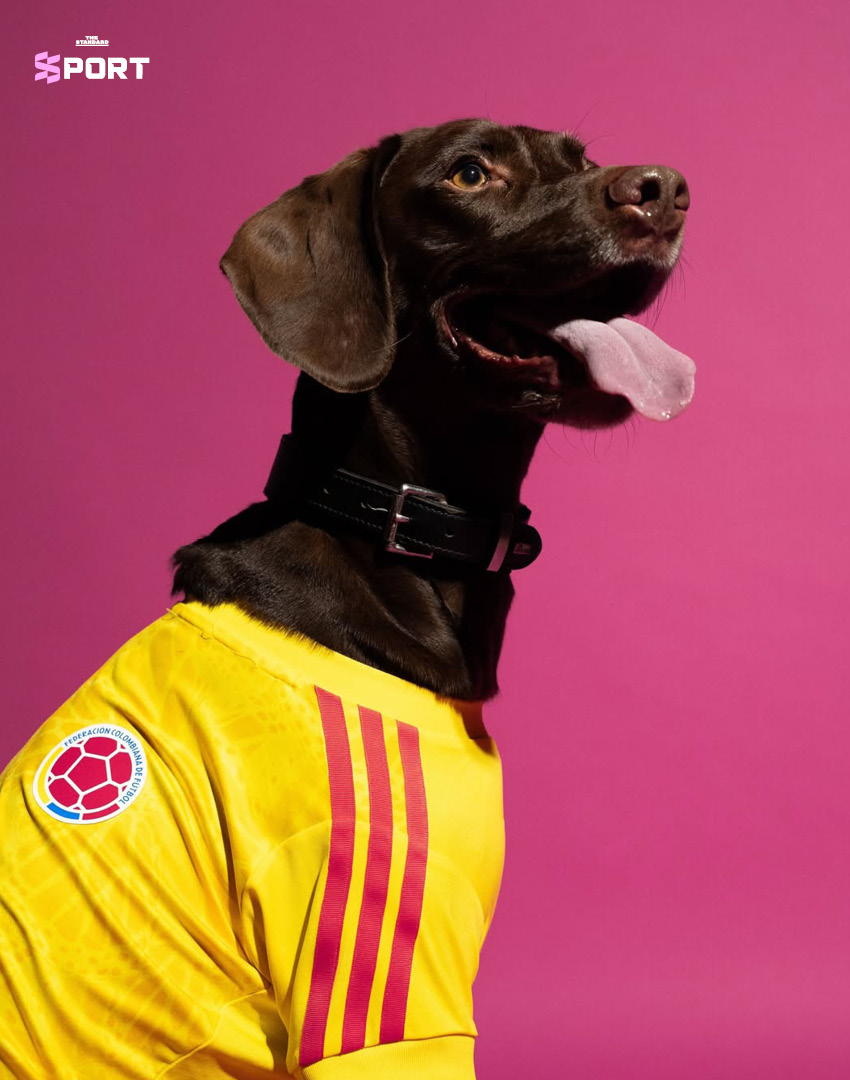 ภาพสัตว์เลี้ยงสวมใส่เสื้อฟุตบอลโลก 2026 คอลเลกชันใหม่ของ adidas 6