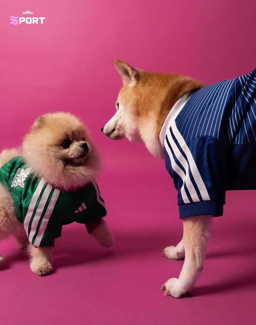 ภาพสัตว์เลี้ยงสวมใส่เสื้อฟุตบอลโลก 2026 คอลเลกชันใหม่ของ adidas 7
