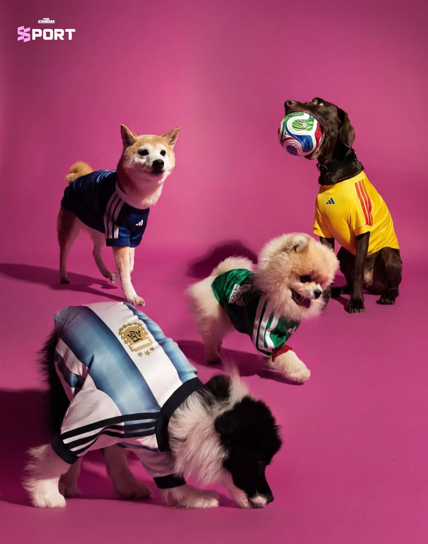 ภาพสัตว์เลี้ยงสวมใส่เสื้อฟุตบอลโลก 2026 คอลเลกชันใหม่ของ adidas 8