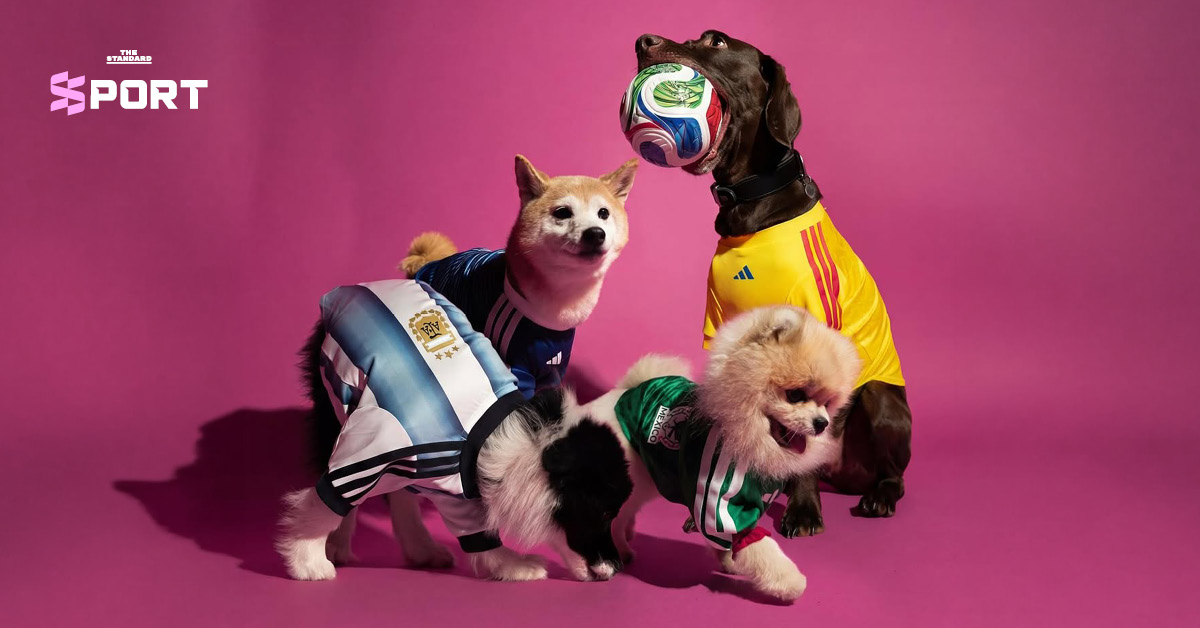 ภาพสัตว์เลี้ยงสวมใส่เสื้อฟุตบอลโลก 2026 คอลเลกชันใหม่ของ adidas