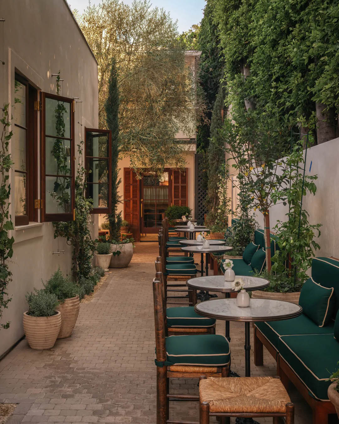 แฟล็กชิปสโตร์ Aimé Leon Dore ที่ West Hollywood Los Angeles ซึ่งมีสไตล์การออกแบบเมดิเตอร์เรเนียน พร้อมคาเฟ่และต้นมะกอกอายุ 80 ปี 5