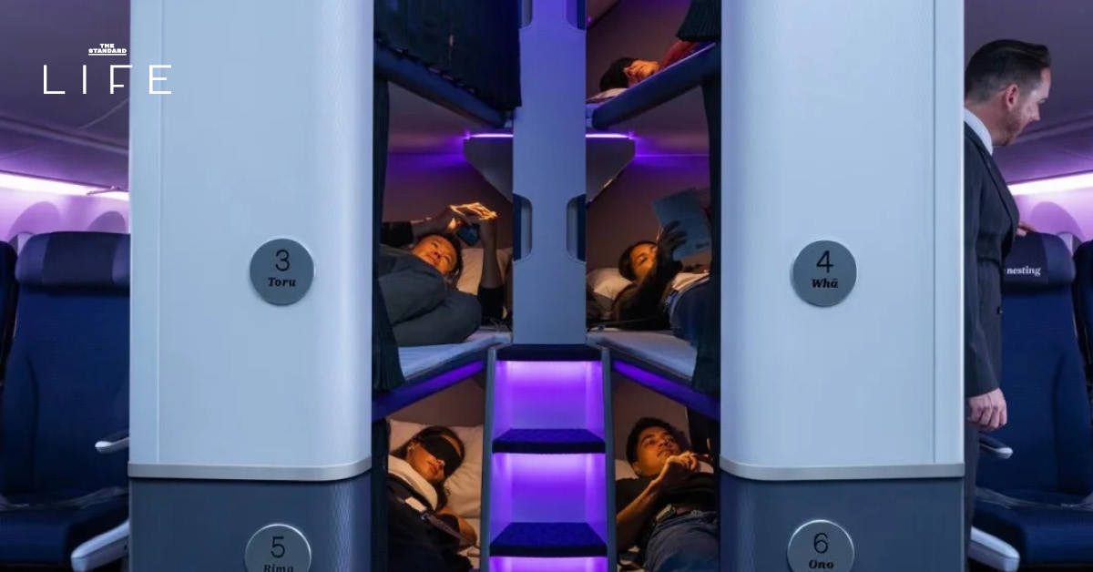 ภาพจำลองเตียงนอน Skynest สำหรับผู้โดยสารชั้นประหยัดของ Air New Zealand