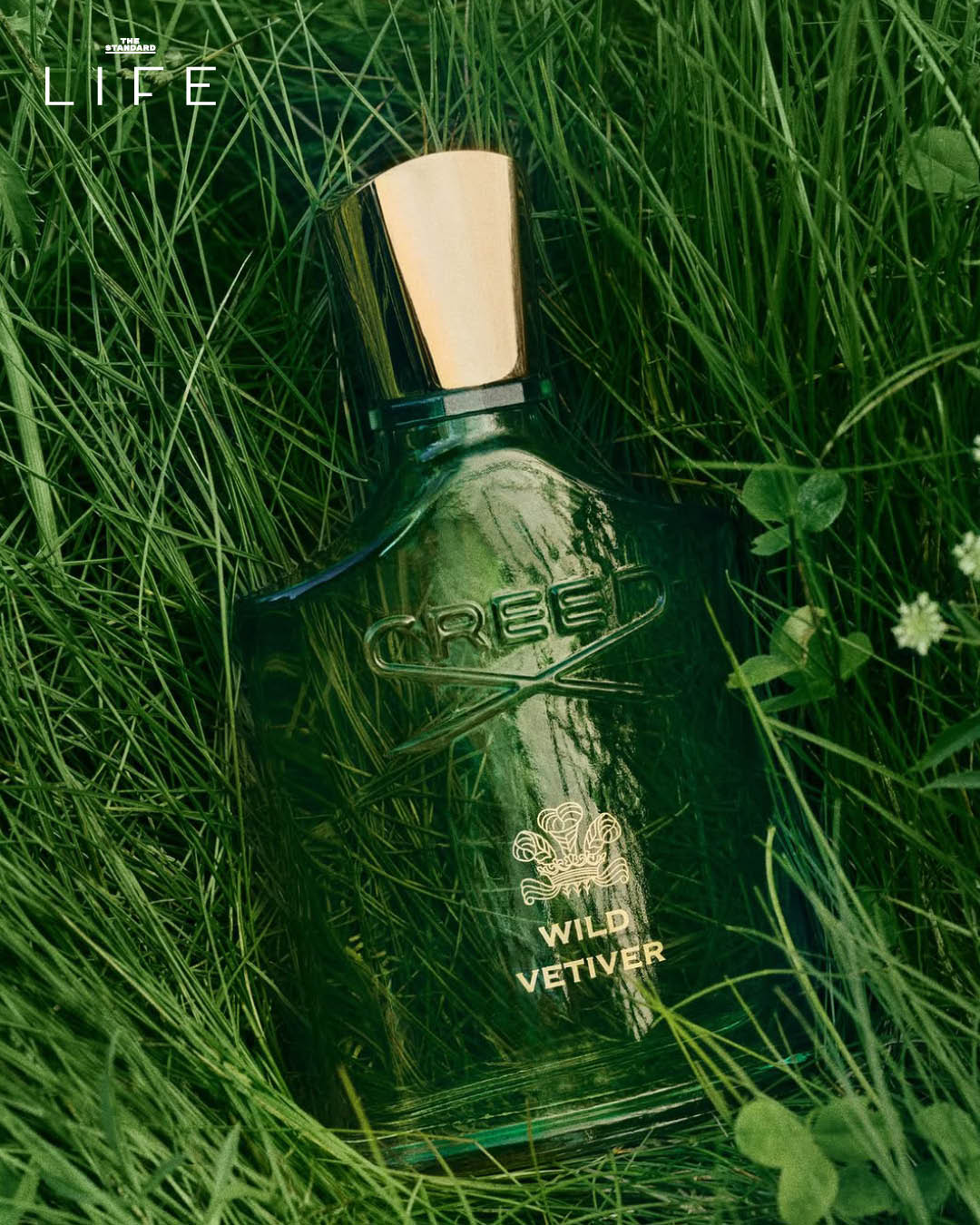 อาโป ณัฐวิญญ์ กับน้ำหอม Creed Wild Vetiver 3
