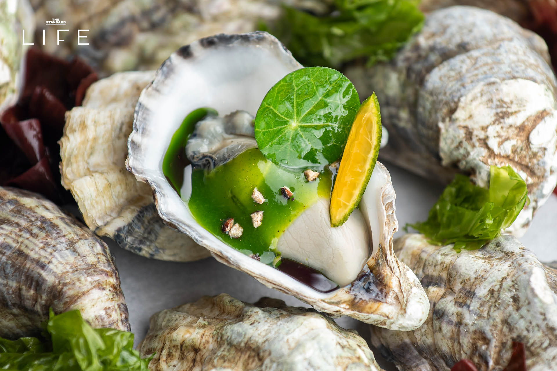 อาหารไฟน์ไดนิ่งจากเมนู Spring 2026 โดยเชฟ Evens López ที่ Blue by Alain Ducasse 1