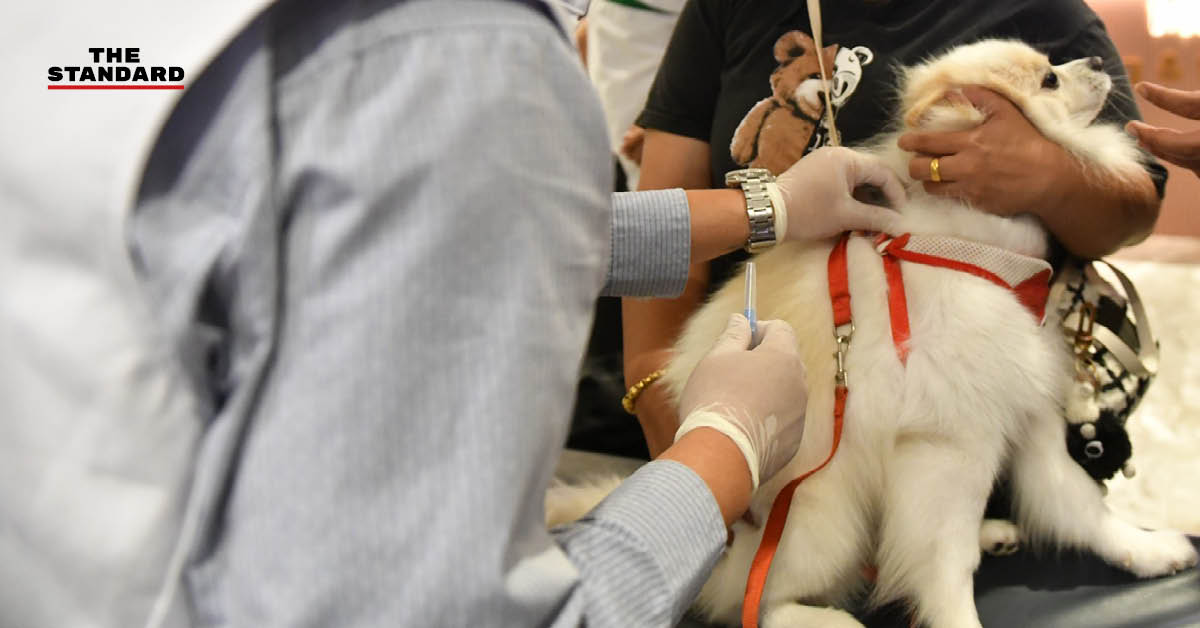 ชัชชาติ สิทธิพันธุ์ ผู้ว่าฯ กทม. ตรวจเยี่ยมจุดบริการฝังไมโครชิป และ ฉีดวัคซีน สัตว์เลี้ยงฟรี ที่ไอคอนสยาม