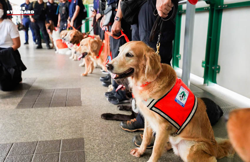 ทีม K9 USAR Thailand ฝึกซ้อมเคลื่อนย้ายกำลังพลพร้อมสุนัข K9 บนระบบรถไฟฟ้าบีทีเอส 1
