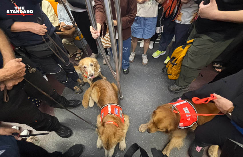 ทีม K9 USAR Thailand ฝึกซ้อมเคลื่อนย้ายกำลังพลพร้อมสุนัข K9 บนระบบรถไฟฟ้าบีทีเอส 4