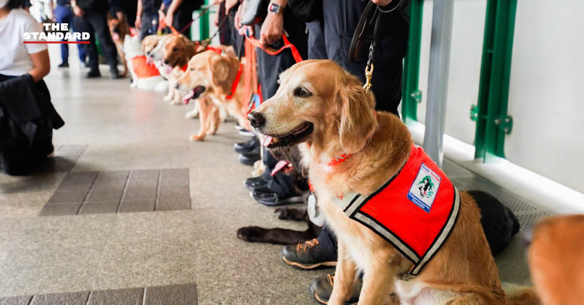 ทีม K9 USAR Thailand ฝึกซ้อมเคลื่อนย้ายกำลังพลพร้อมสุนัข K9 บนระบบรถไฟฟ้าบีทีเอส