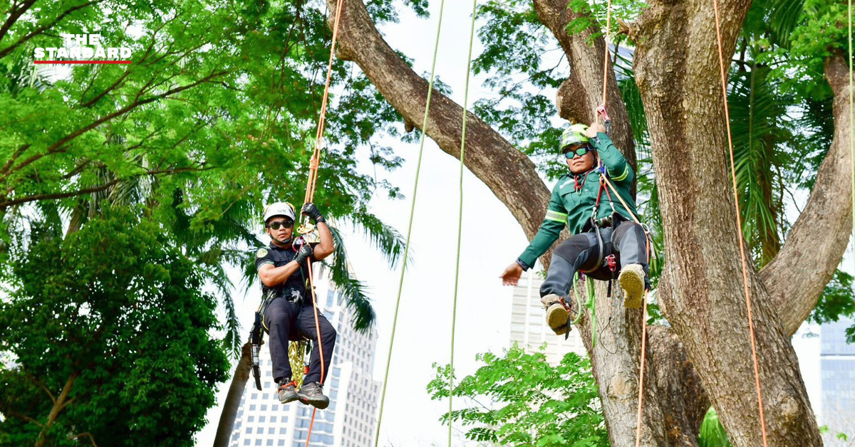 ชัชชาติ สิทธิพันธุ์ ประชุมร่วมกับกลุ่มรุกขกร หารือแนวทางยกระดับการจัดการต้นไม้กรุงเทพฯ