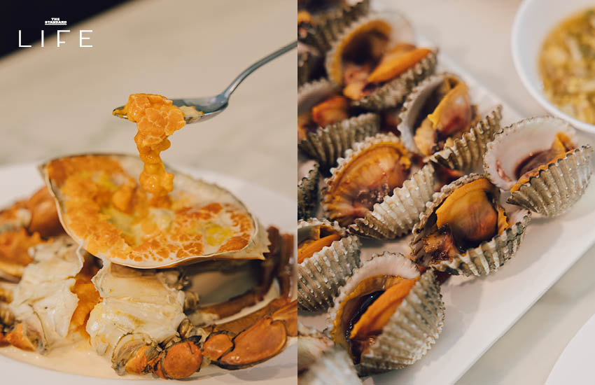 เชฟแพม เยี่ยมชมร้านค้าและร้านอาหารท้องถิ่นในย่านศาลายา 20