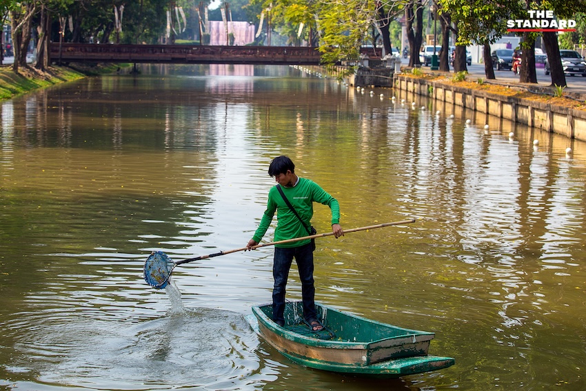 บรรยากาศการทำความสะอาดคูเมือง เชียงใหม่ เตรียมพร้อมรับเทศกาลสงกรานต์ 1