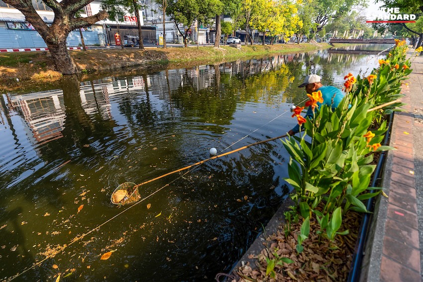 บรรยากาศการทำความสะอาดคูเมือง เชียงใหม่ เตรียมพร้อมรับเทศกาลสงกรานต์ 5