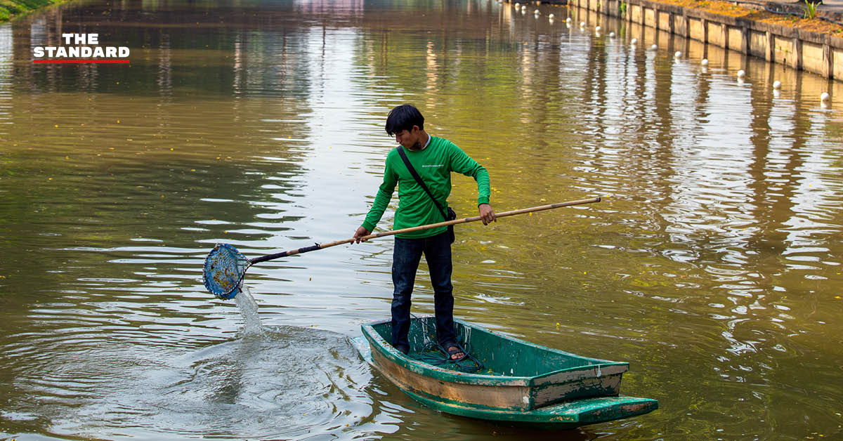 บรรยากาศการทำความสะอาดคูเมือง เชียงใหม่ เตรียมพร้อมรับเทศกาลสงกรานต์