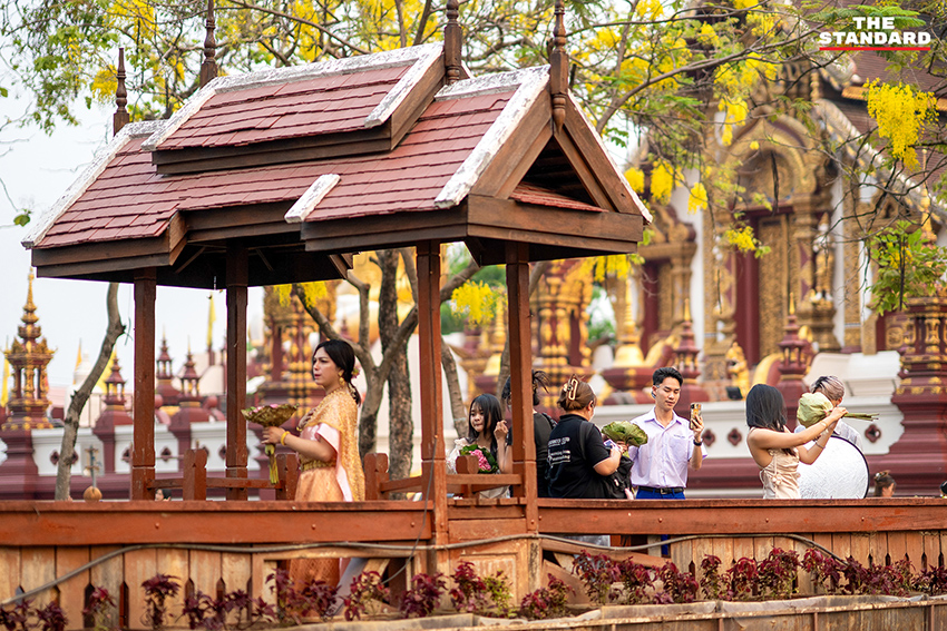 วัยรุ่นถือดอกบัวถ่ายภาพริมคูเมืองเชียงใหม่ 14