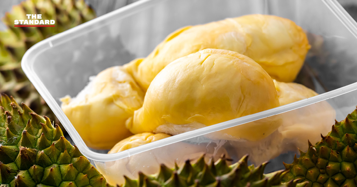 ภาพประกอบการเตือนภัยมิจฉาชีพหลอกขายทุเรียนออนไลน์