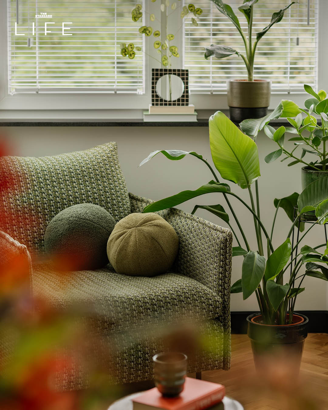 ภาพการตกแต่งห้องนั่งเล่นสไตล์ Cozy Living เพื่อคลายร้อนและสร้างบรรยากาศสบายๆ ต้อนรับฤดูร้อน 4