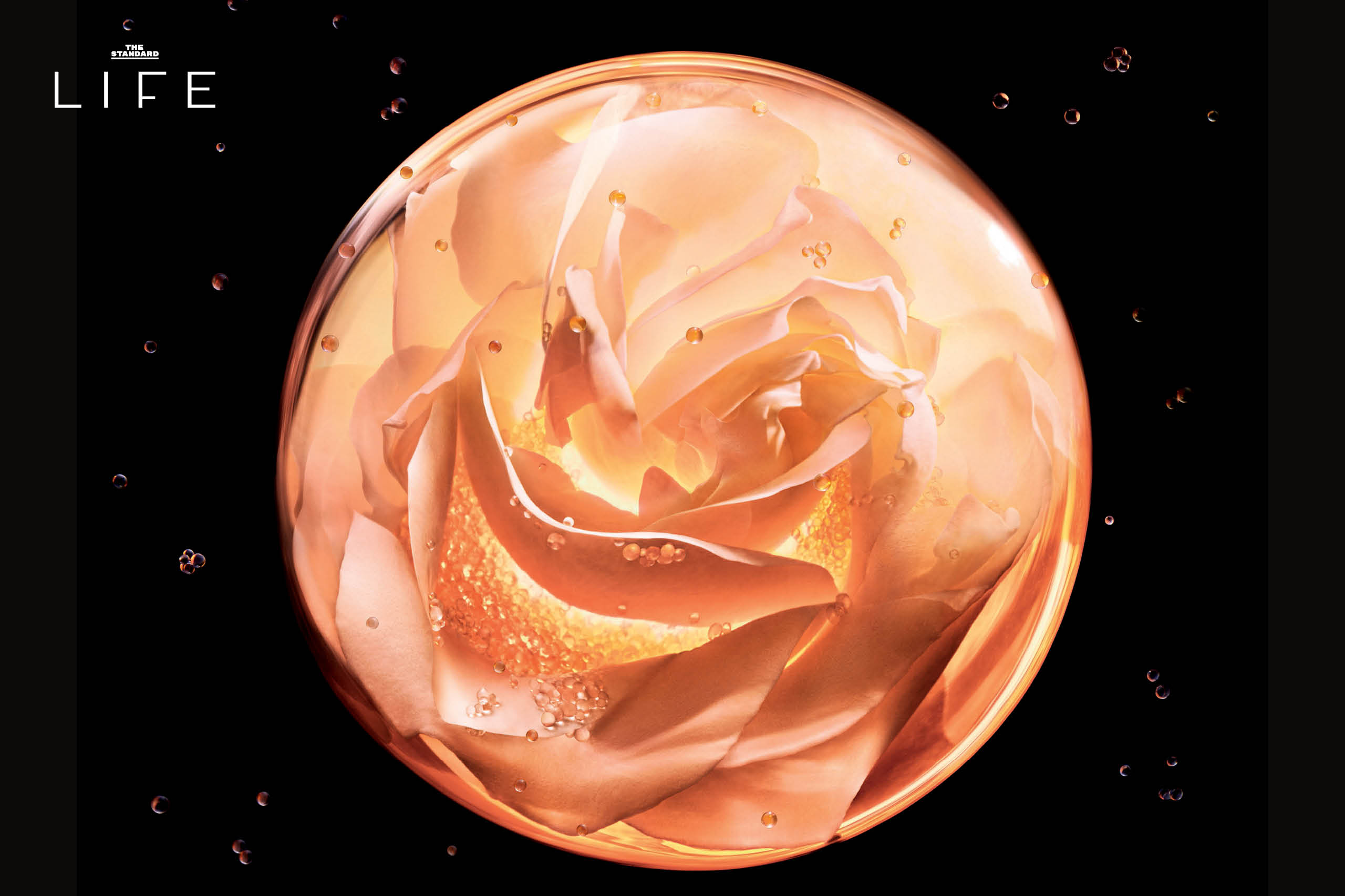 ผลิตภัณฑ์ Dior Beauty ในแนวคิด Skin Longevity ที่เน้นวิทยาศาสตร์เพื่อผิวอ่อนเยาว์ 2