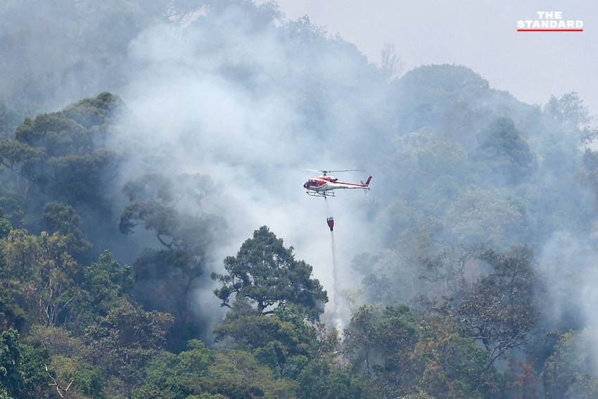 เฮลิคอปเตอร์โปรยน้ำดับไฟป่าบนหน้าผาสูงชัน ใกล้ วัดพระธาตุดอยสุเทพราชวรวิหาร จังหวัดเชียงใหม่ 1