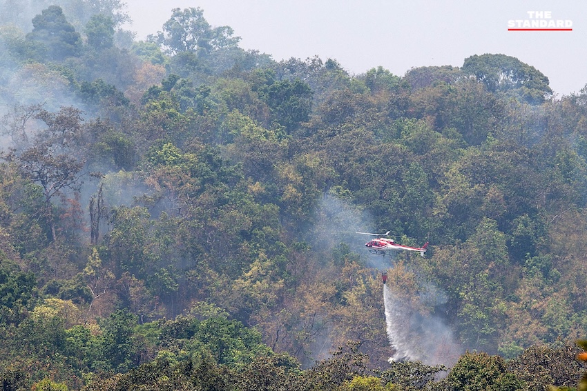 เฮลิคอปเตอร์โปรยน้ำดับไฟป่าบนหน้าผาสูงชัน ใกล้ วัดพระธาตุดอยสุเทพราชวรวิหาร จังหวัดเชียงใหม่ 6