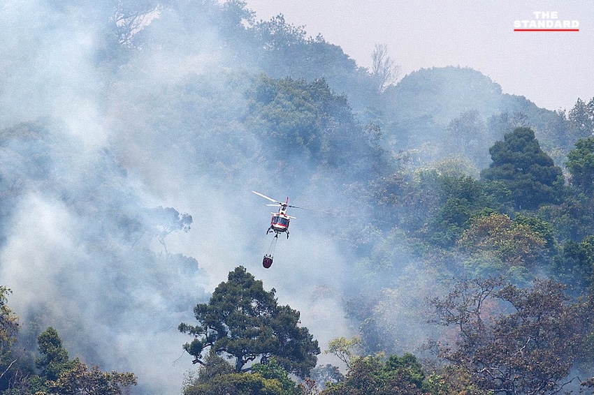 เฮลิคอปเตอร์โปรยน้ำดับไฟป่าบนหน้าผาสูงชัน ใกล้ วัดพระธาตุดอยสุเทพราชวรวิหาร จังหวัดเชียงใหม่ 8