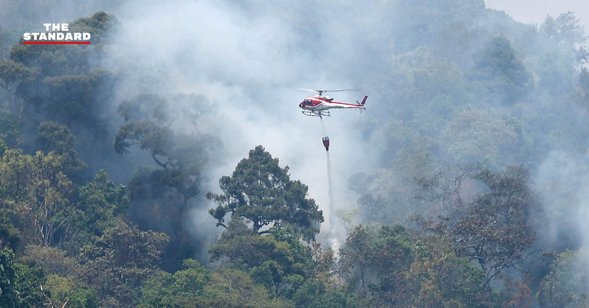 เฮลิคอปเตอร์โปรยน้ำดับไฟป่าบนหน้าผาสูงชัน ใกล้ วัดพระธาตุดอยสุเทพราชวรวิหาร จังหวัดเชียงใหม่