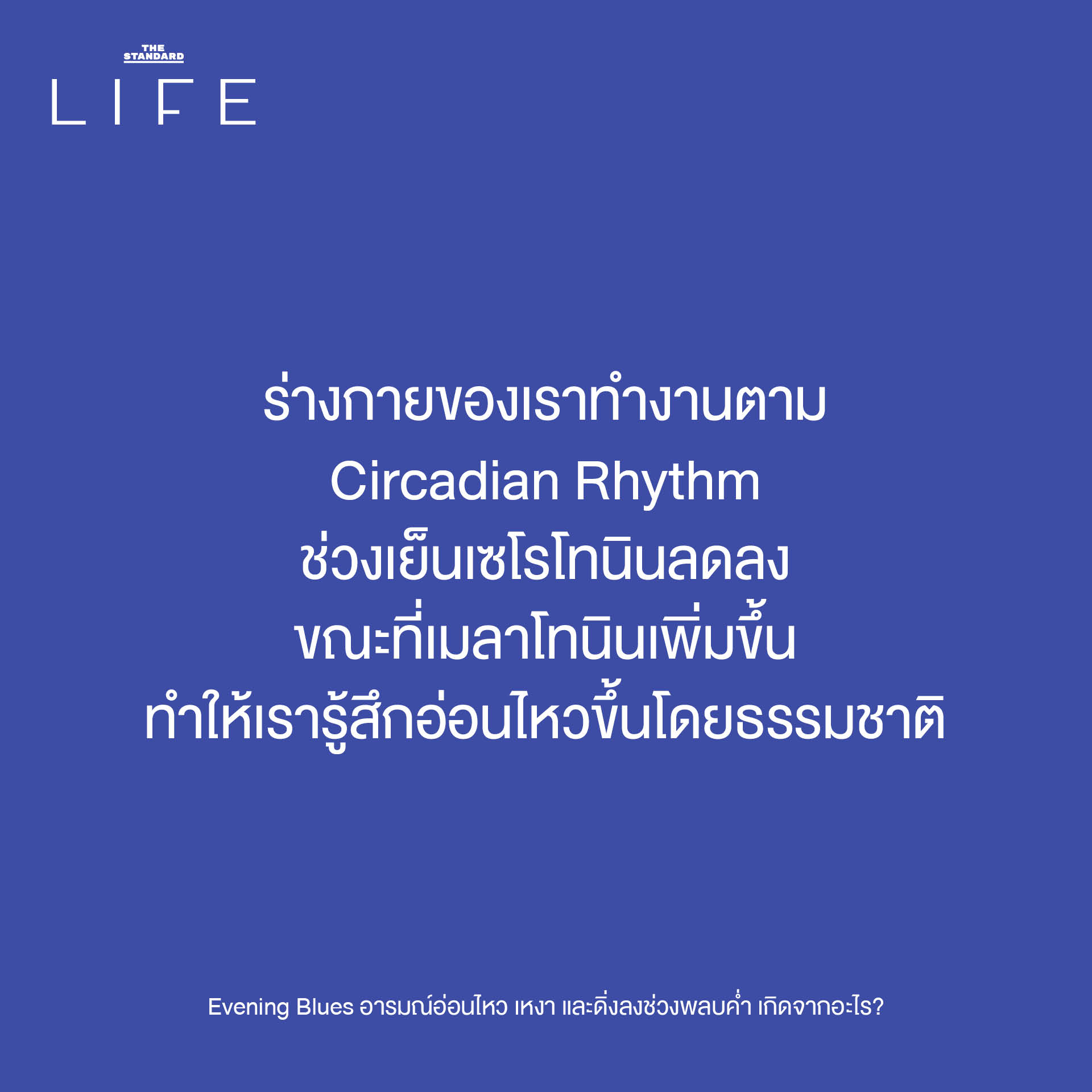 ภาพประกอบแสดงอารมณ์เหงา เศร้า หรืออ่อนไหวในช่วงพลบค่ำ สื่อถึงภาวะ Evening Blues 3