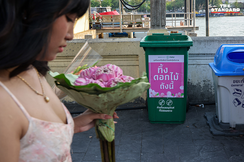 วัยรุ่น Gen Z ถ่ายภาพกับดอกบัวพับที่ สะพานพุทธ โดยมีถังขยะสำหรับแยกดอกบัวเพื่อทำปุ๋ย 1