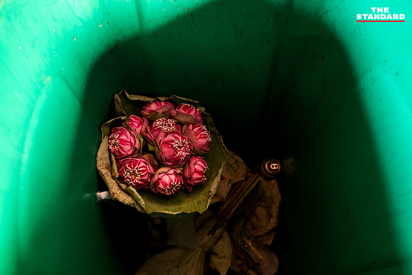 วัยรุ่น Gen Z ถ่ายภาพกับดอกบัวพับที่ สะพานพุทธ โดยมีถังขยะสำหรับแยกดอกบัวเพื่อทำปุ๋ย 2