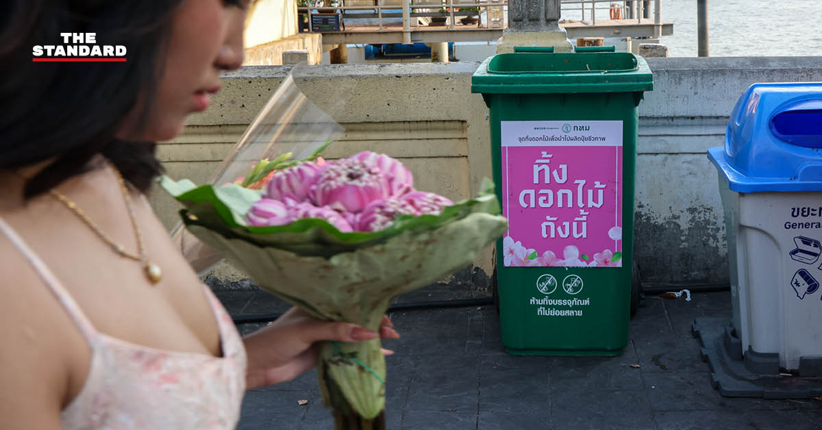 วัยรุ่น Gen Z ถ่ายภาพกับดอกบัวพับที่ สะพานพุทธ โดยมีถังขยะสำหรับแยกดอกบัวเพื่อทำปุ๋ย